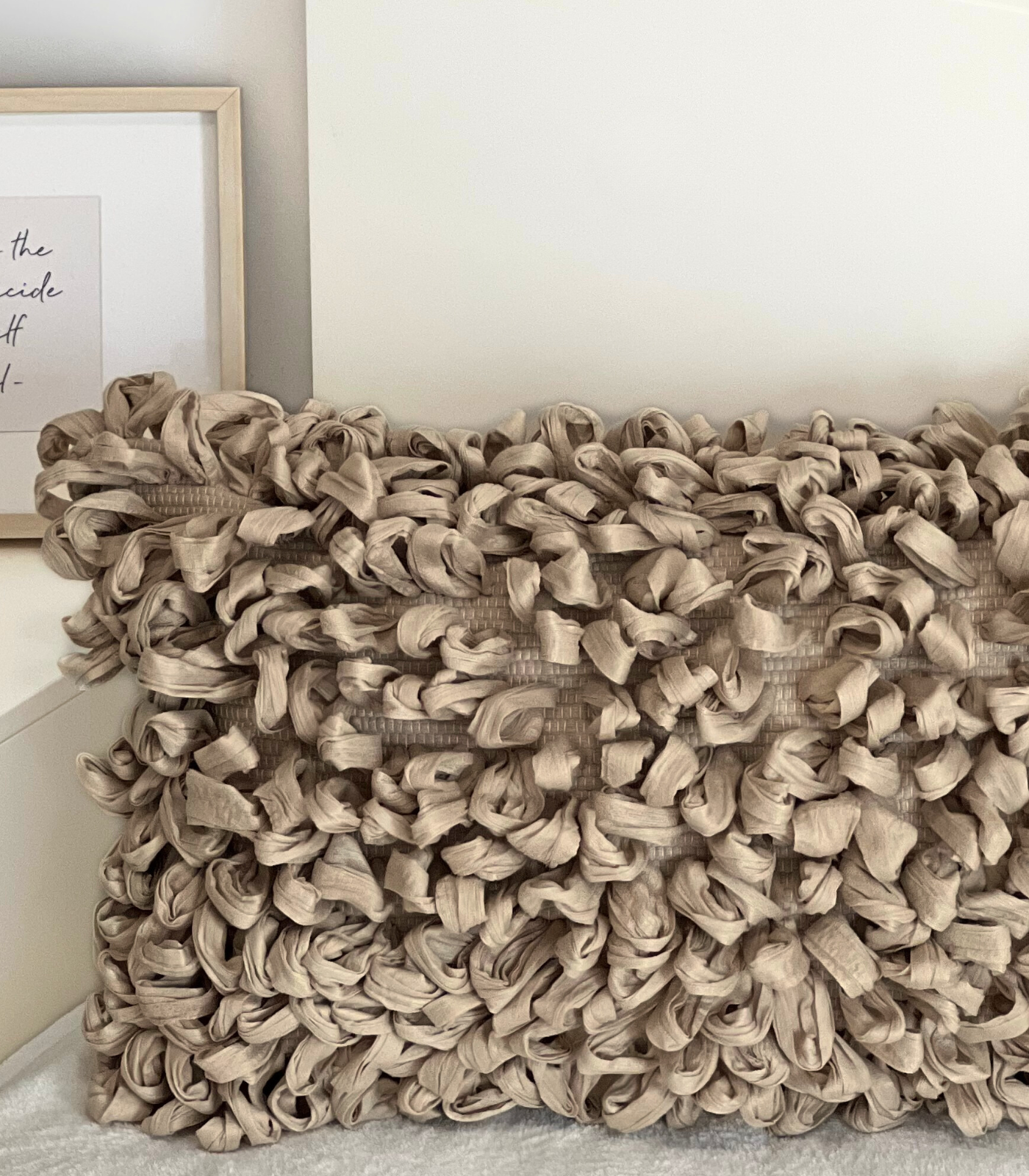 Coussins décoratifs. Choix conscient